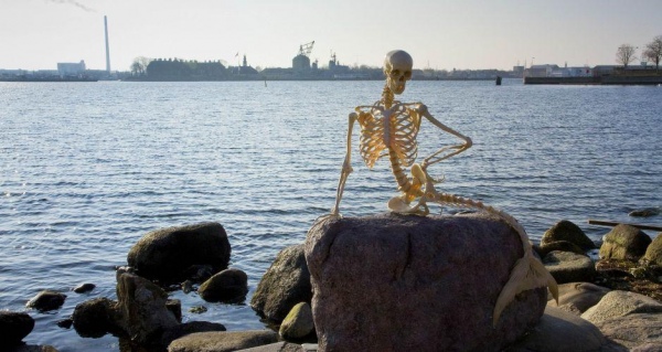 Копенгаген Копенгаген