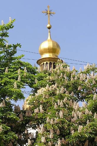 Киев Киев